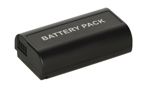 Lumix DC-S1 Batteria (2 Celle)