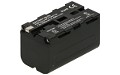 Alpha NEX-FS100EK Batteria